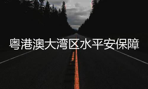 四张网规划提出