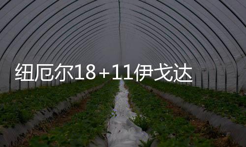 收获夏季联赛两连胜