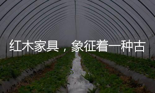 古香古色中式红木沙发