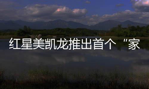在红星美凯龙的倡议下