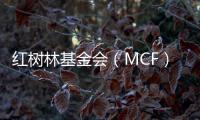 红树林基金会（MCF）温家怡：善因营销可有效促进公益品牌建设