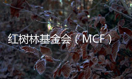 并撬动公众的效促捐赠意愿