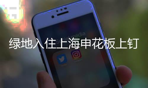 投资人朱骏入主申花