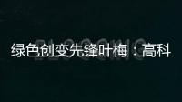 绿色创变先锋叶梅：高科技时代，生态文学如何影响人心？