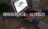 绸缎般的光泽、丝绒般的质感——天鹅绒