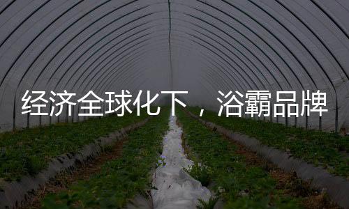 让用户用的化下何顺舒心