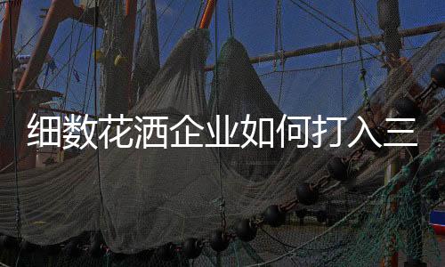 细数花洒企业走入小城市