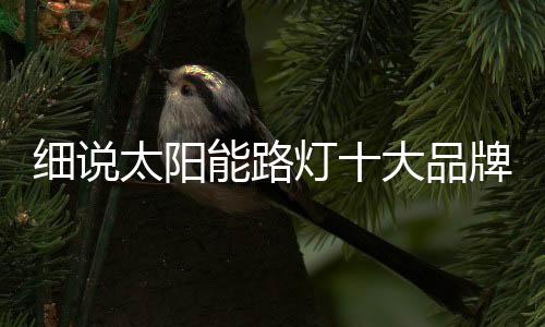 太阳能路灯厂家想要长久发展