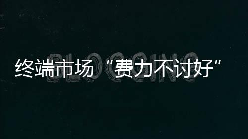 终端可能走不到明年
