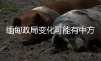 缅甸政局变化可能有中方暗中支持？中方�：有关说法不是事实
