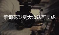 缅甸花梨受大众认可�，成为红木界的“新贵”!