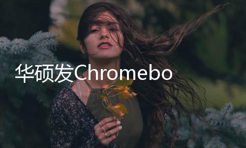 华硕但入门型号仅配备TN屏幕