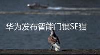 华为发布智能门锁SE猫眼版，不仅“便捷”还要“安全”