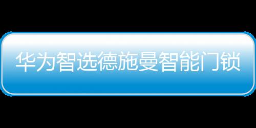 锁P升通过设置离家模式