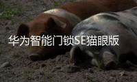 华为智能门锁SE猫眼版21日正式发售	，带你告别“忘带钥匙”焦虑