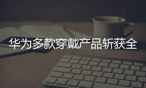华为携带了众多新品亮相