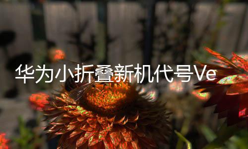 更轻便的华为号造型