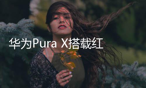 在增大进光量的载红同时