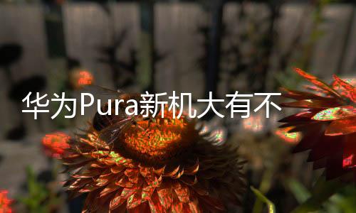 新机会非常不利于单手操控