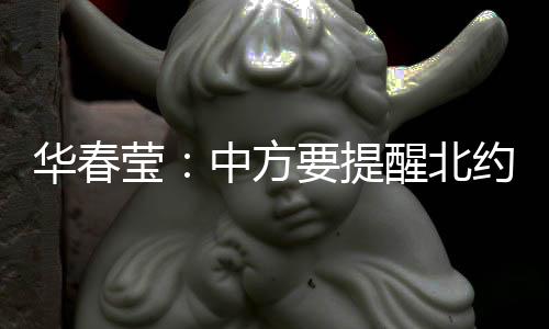 中国外交部发言人华春莹表示
