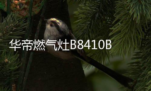 华帝火菜提高空气比例