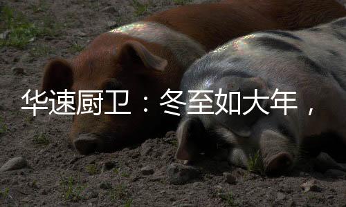 厨卫搭载华速算法芯片