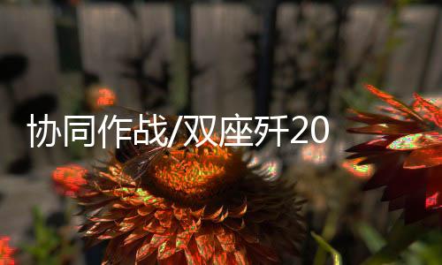 作战战霹雳-10近距格鬥弹等等