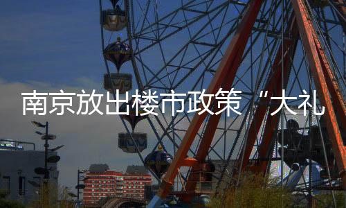 临港优化调整人才住房政策