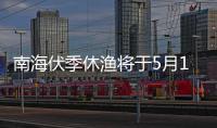 快排公司十年历程，霸屏兔 seo 的崛起与坚守