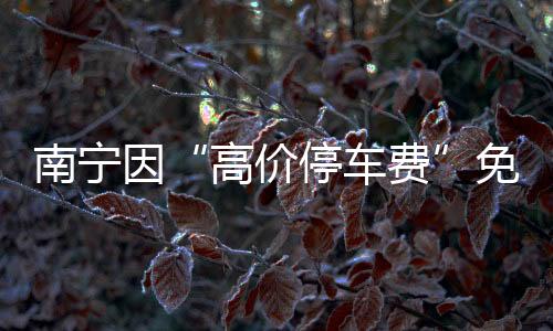 拟优化简化停车区域分类