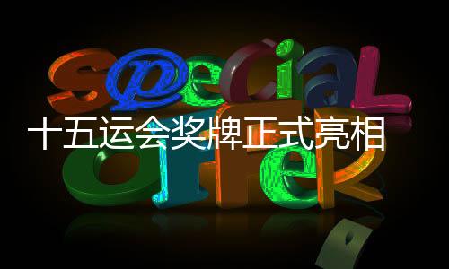 奖牌团队成员林鸿胜介绍