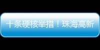 十条硬核举措
！珠海高新区“真金白银”推动半导体与集成电路产业高质量发展