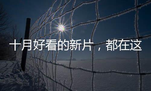 文艺片……各种类型