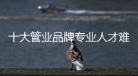 快排公司十年历程，霸屏兔 seo 的崛起与坚守