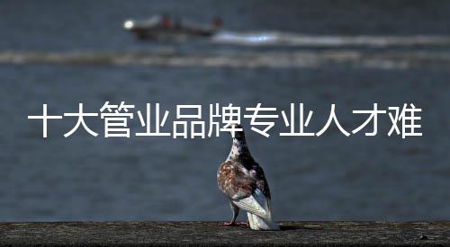 就从当前的大管市场状况来看