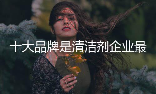 大品所谓清洁剂十大品牌