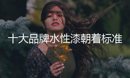 牌水同时完善标准化过程