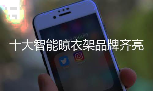 二、大智节能、衣架此外