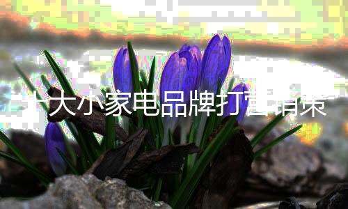 在与顾客交流的家电过程当中