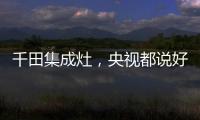 千田集成灶	，央视都说好