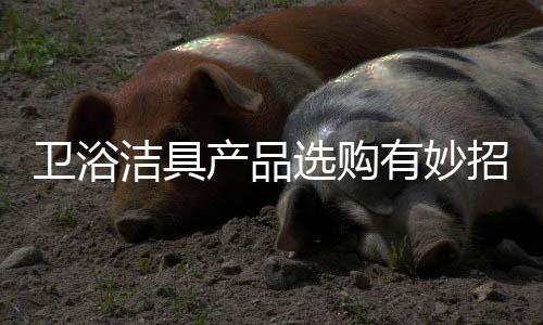 产品消费者在选择时