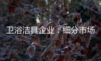 卫浴洁具企业
：细分市场 重新规划布局