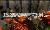 卫浴洁具推动未来发展：创新、进军高端卫浴市场!