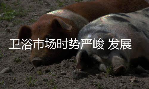 他们面对时代的营销应时而生