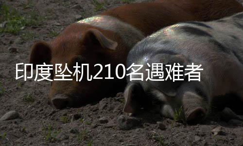 一架波音787客机在印度坠毁