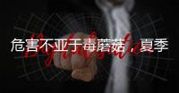 危害不亚于毒蘑菇，夏季吃海鲜小心贝类中毒