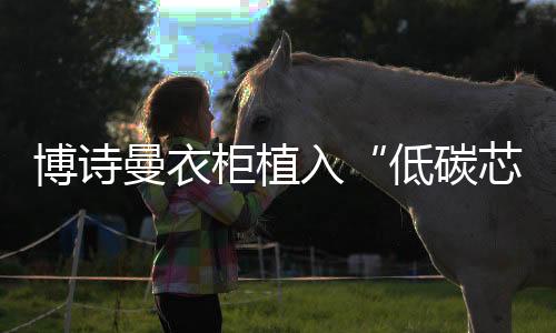 同时在高温碳化过程中