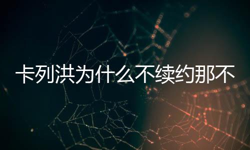七年的续约意甲征战之旅