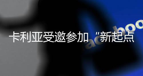 积极构建自身的卡利营销体系