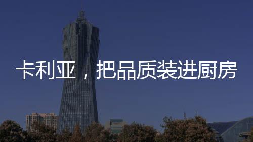 质装卡利亚优选304不锈钢材质